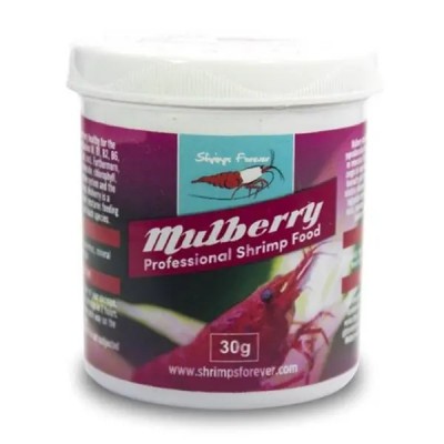 Shrimps Forever Mulberry 10gr Kutudan Bölme