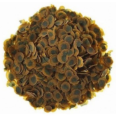 Tetra Pro Algae Balık Yemi Kovadan Bölme 100gr