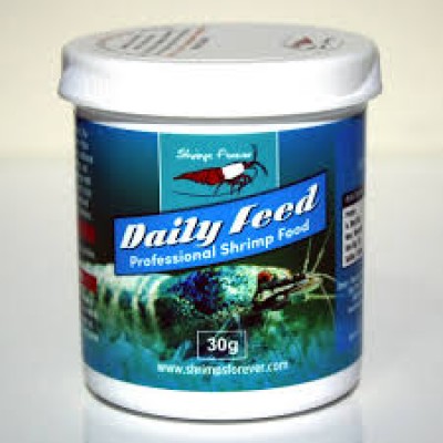 Daily Feed 10gr Kutudan Bölme