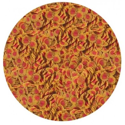 Tetra Pro Colour Balık Yemi Kovadan Bölme 100gr