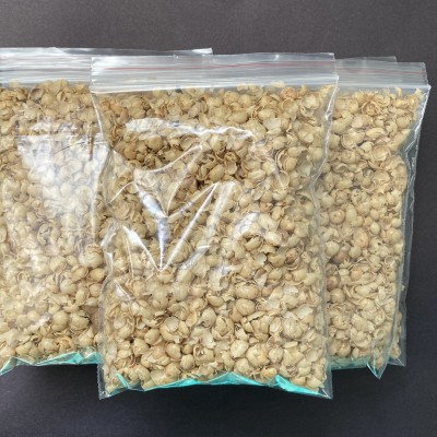 Soya Kabuğu 15gr