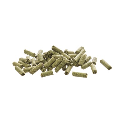 GlasGarten Shrimp Snacks Snow Flakes, Chard-Spinach 10gr (Paketten Bölme)
