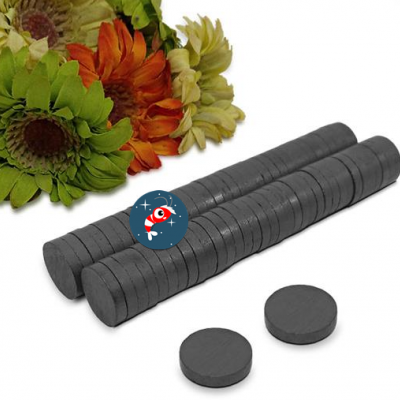 Yuvarlak Mıknatıs Küçük Boy 15 mm Çap