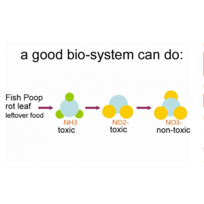 Nitrobacteria Biyo Bakteriyel Topu (3 Adet)