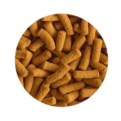 Tetra Cichlid Stick Balık Yemi 100gr (Paketten Bölme)